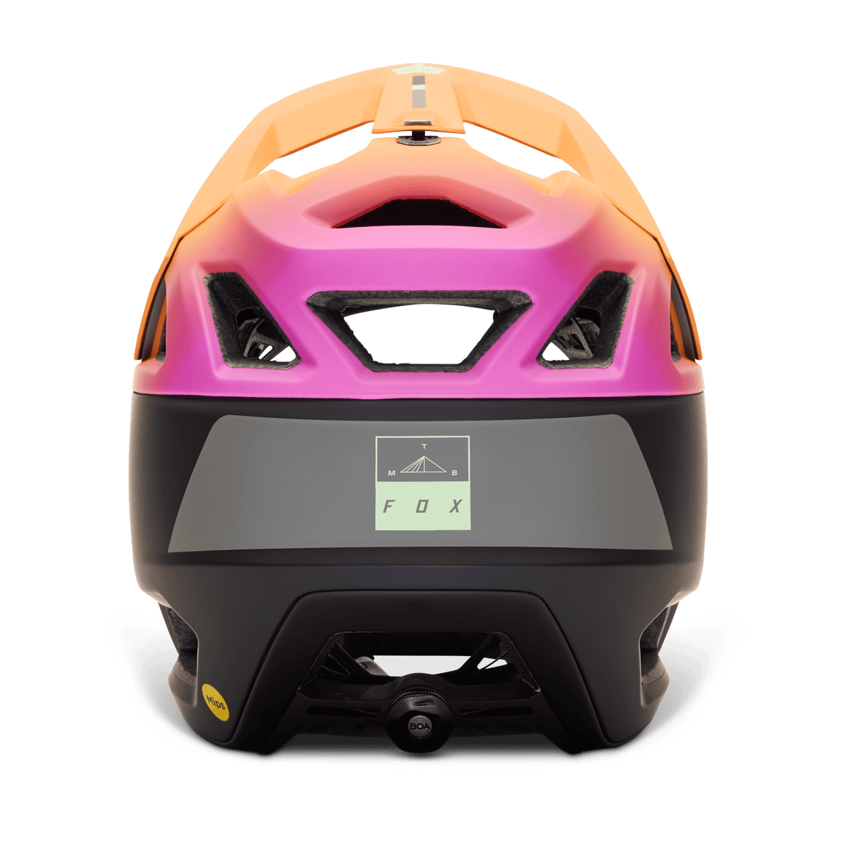 CASCO FOX PROFRAME RS CLYZO, CE [ORG]