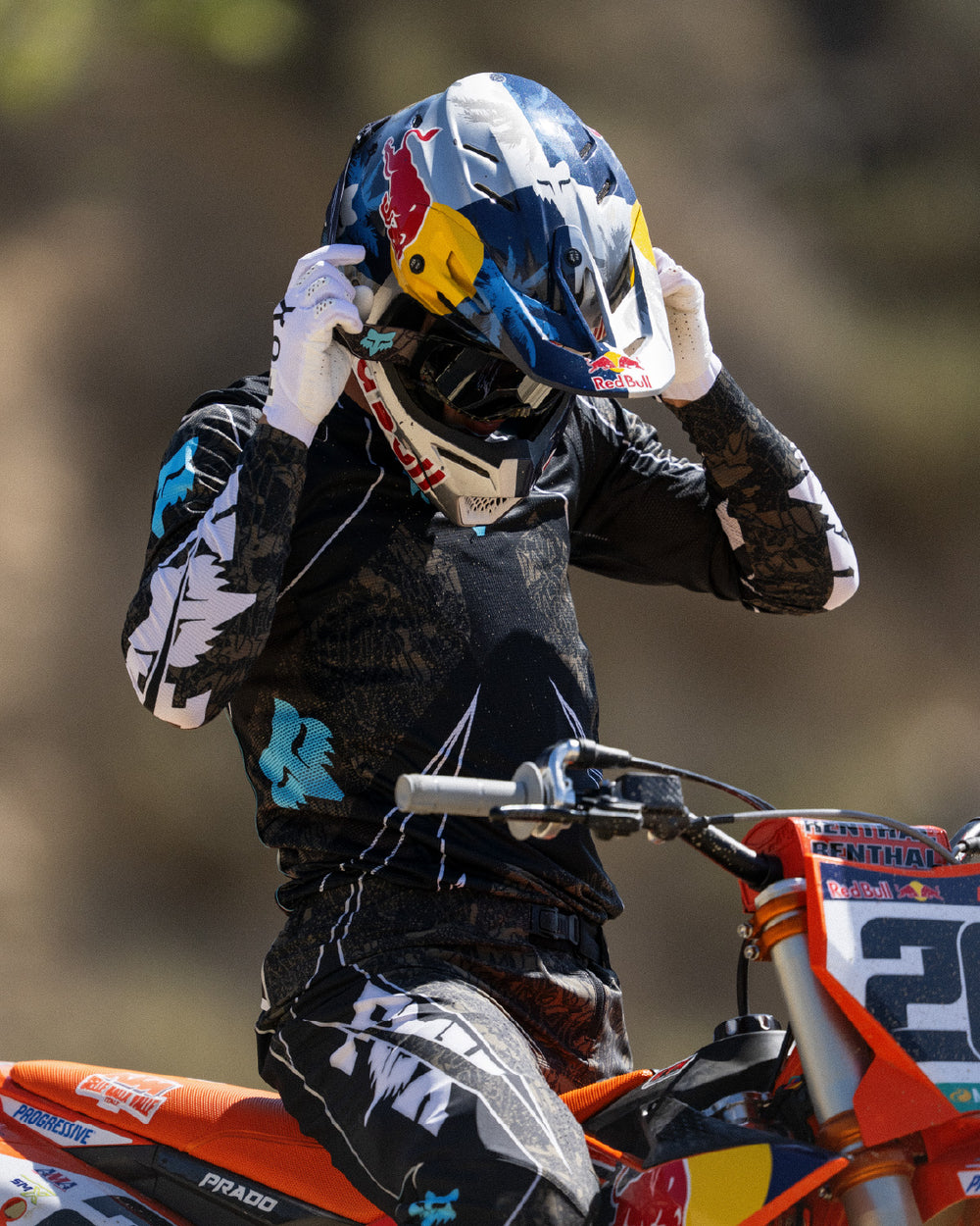 MX