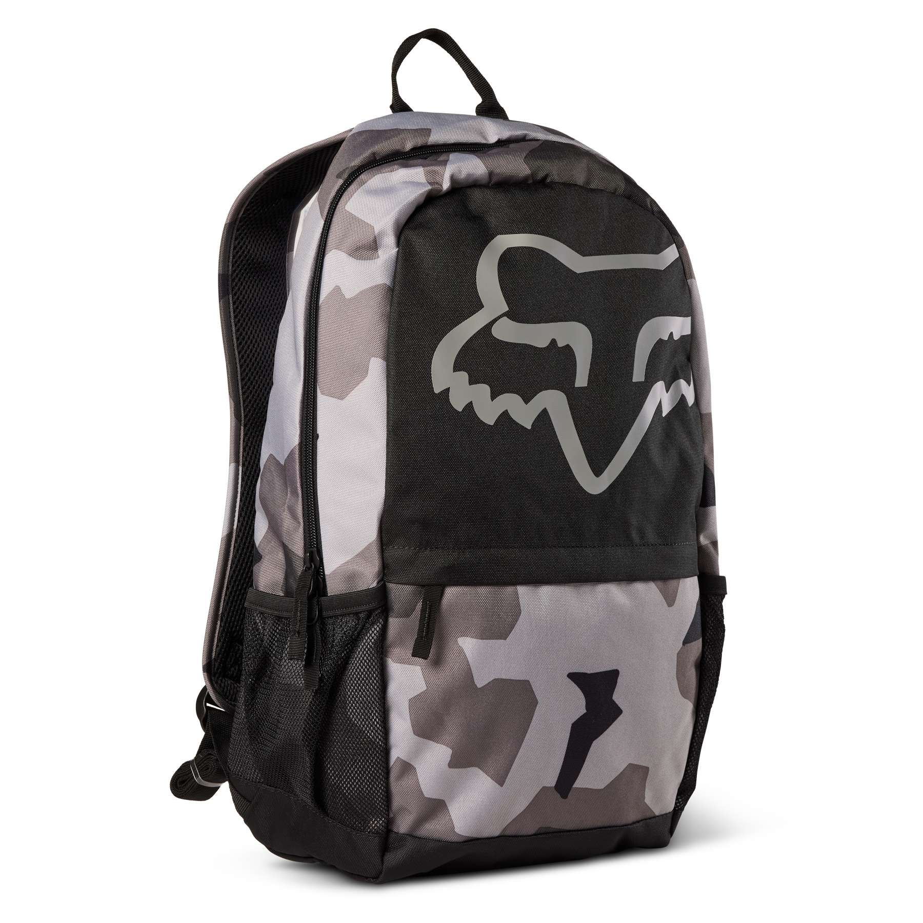 Morral fox 2025